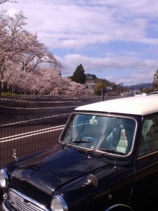 仁和寺　駐車場